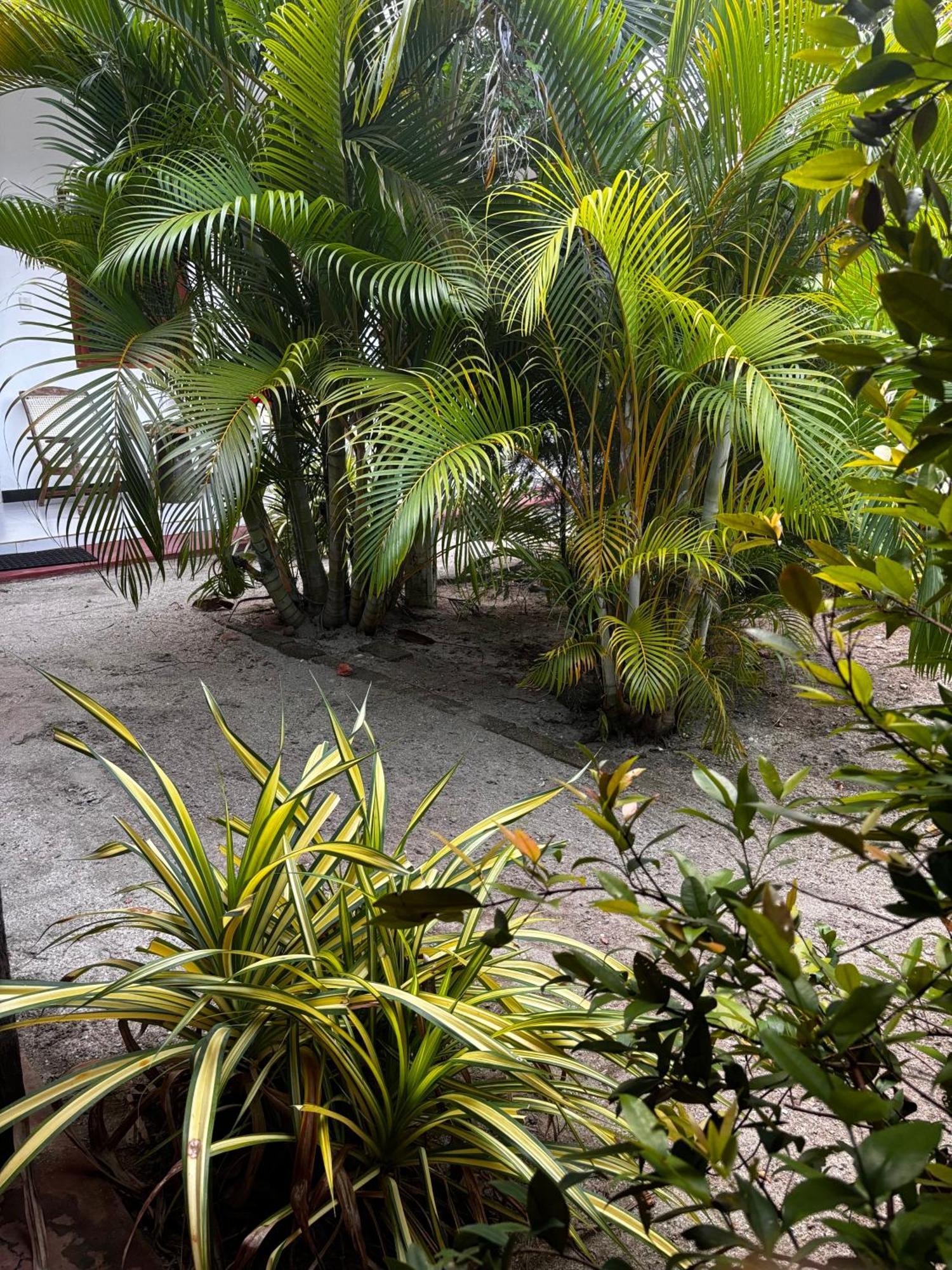 Ubay Guest House Trincomalee Ngoại thất bức ảnh